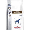 Royal Canin Gastro INTESTINAL gi 25canine